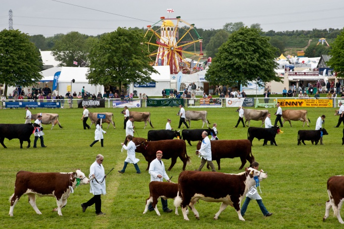 royal bath and west show